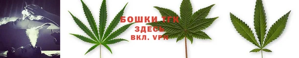 бошки Саяногорск