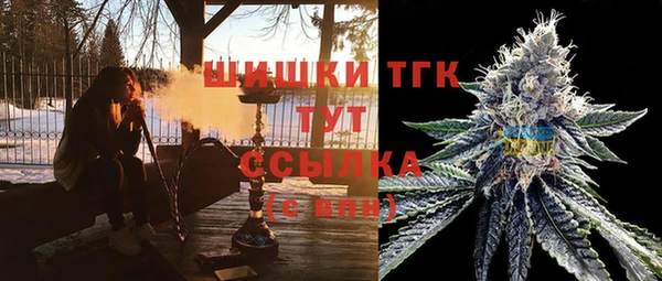 бошки Саяногорск