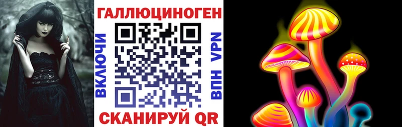 мега Курганинск Псилоцибиновые грибы Psilocybe